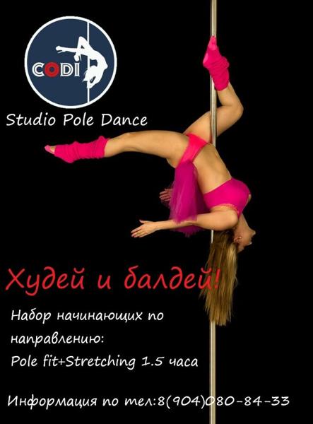 Codi, Губкин