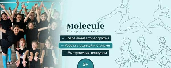 Молекула, Ижевск