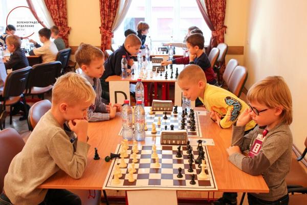 Школа шахмат EduChess, Химки
