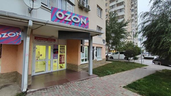 Учитель музыки, Краснодар