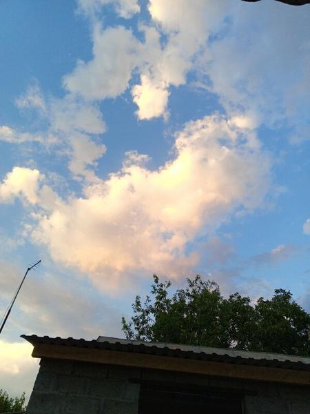 Детский сад Общеразвивающего Вида № 15 СТ. Родниковской, Курганинск