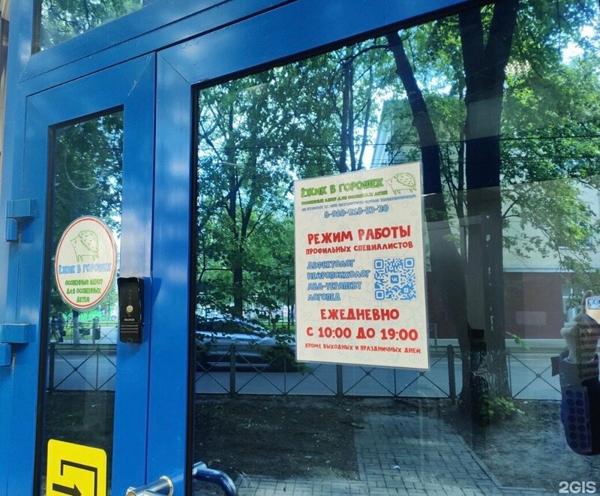 Ёжик в горошек, Курск