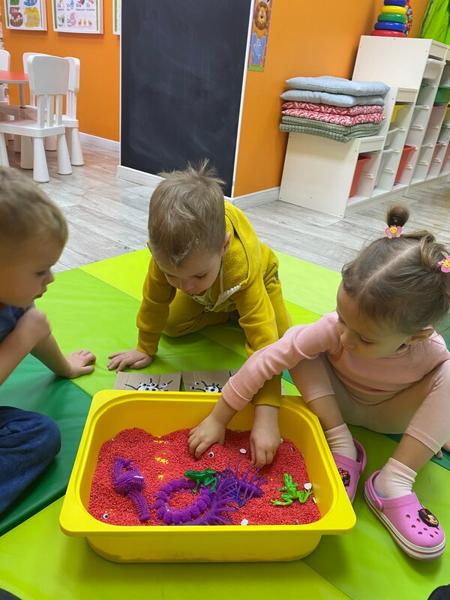 Brainy Academy, Санкт-Петербург