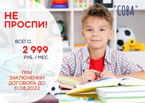 Сова, Нижний Новгород
