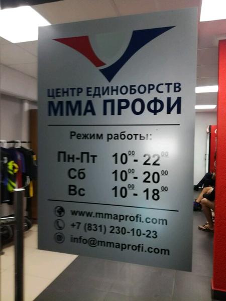 ММА профи, Нижний Новгород