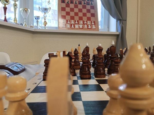 Почему шахматы?, Санкт-Петербург