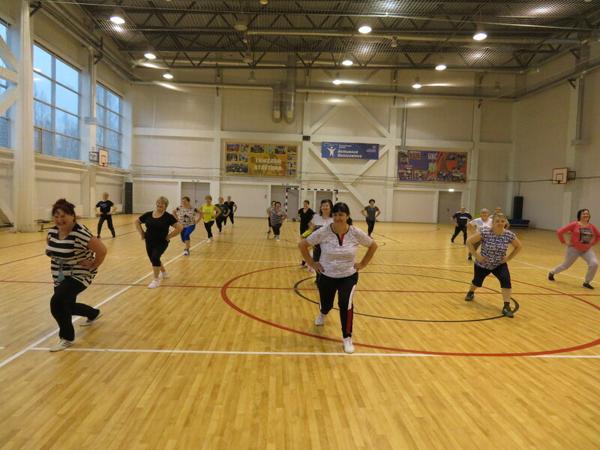 Физкультурно-оздоровительный центр Импульс, Окуловка