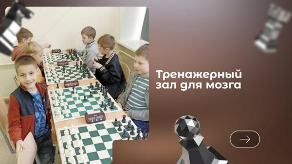 Современная шахматная школа, Пенза