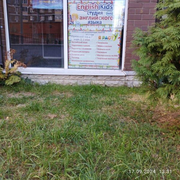 Расту, Ступино