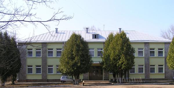 Детская школа искусств имени Б.А. Перевезенцева, Вичуга