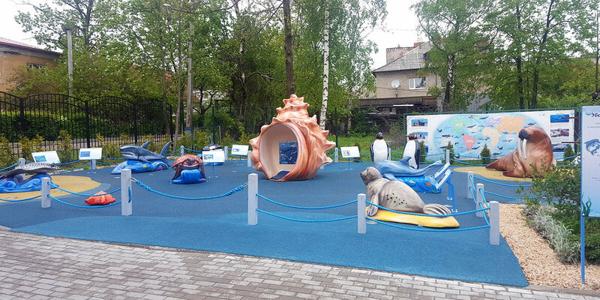 Центр развития ребёнка-детский сад № 23 Сказка, Зеленоградск