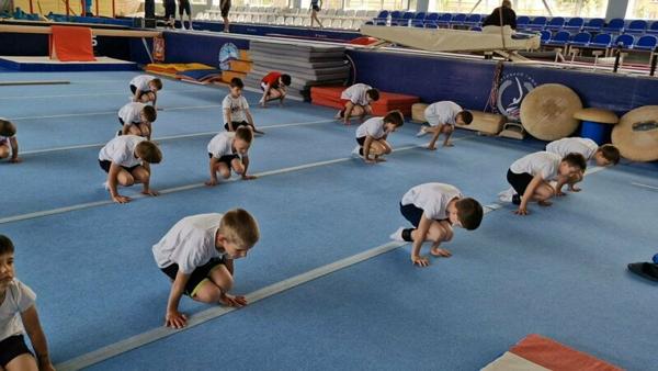 Gymnastics Point, Звенигород