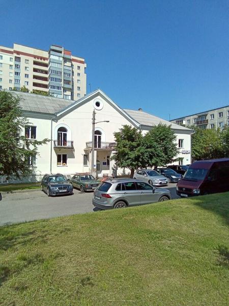 Рыжий кот, Брест