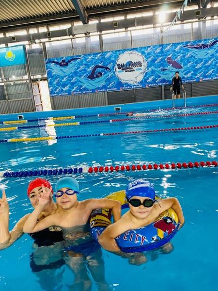 Школа плавания Sharks Pavlodar, Павлодар