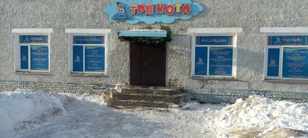 Три кота, Петропавловск