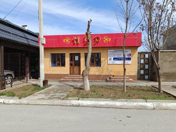 Толерант, Шымкент