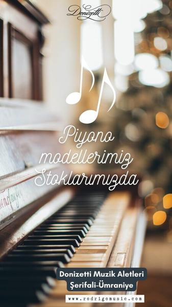 Donizetti Muzik Aletleri, Стамбул