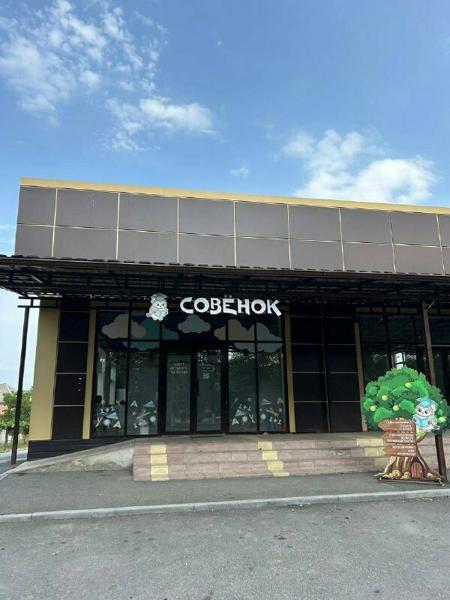 Совенок, Ардон